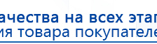Электроды Скэнар -  двойной овал 55х90 мм купить в Артёмовске, Электроды Скэнар купить в Артёмовске, Нейродэнс ПКМ официальный сайт - denasdevice.ru